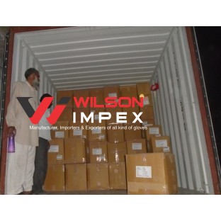 WILSON IMPEX  CONTAINER LOADING AND INSPECTION