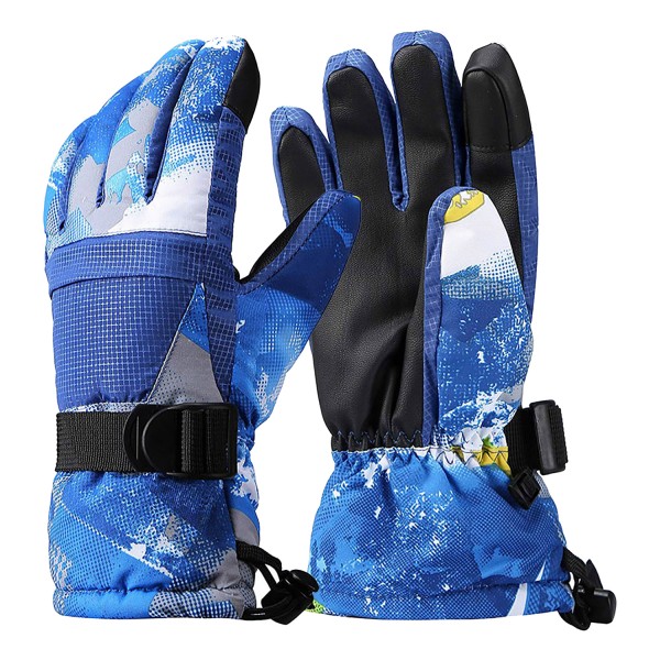 Ski Gloves